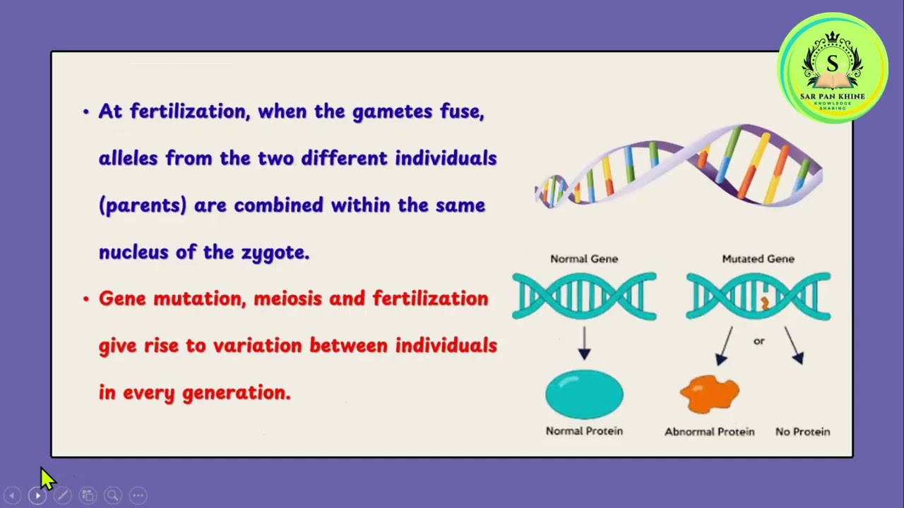 Grade 11 Biology Chapter 5 Continuation of Life, 5.3.2 Variation & Types of Variations