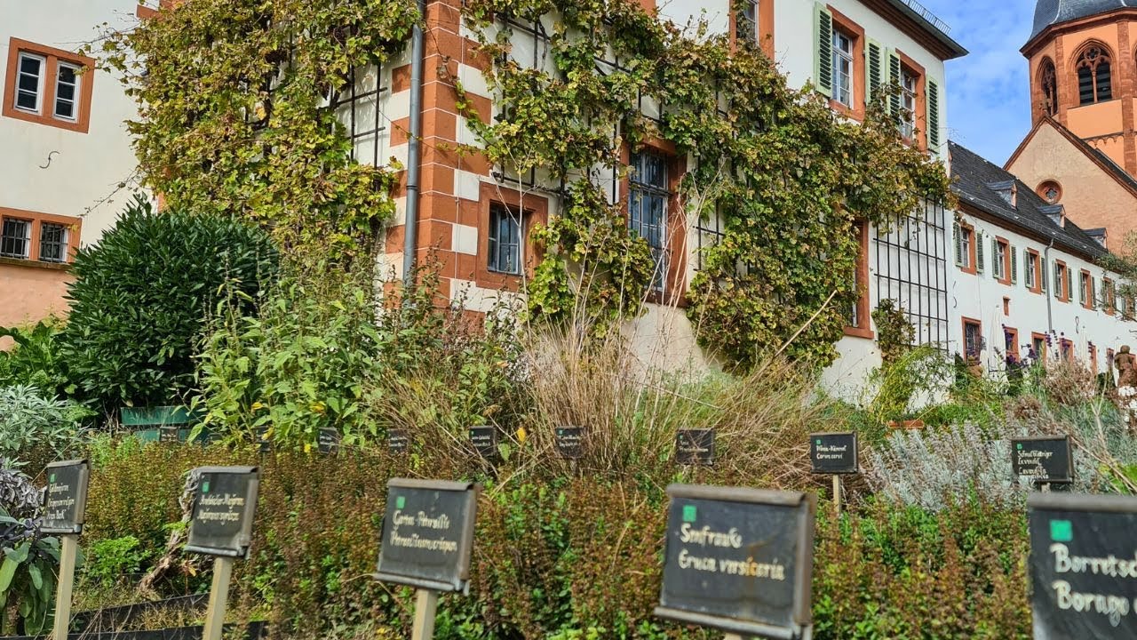 Heilpflanzen der Kloster-Medizin: Kommt mit durch den Apotheker-Garten!