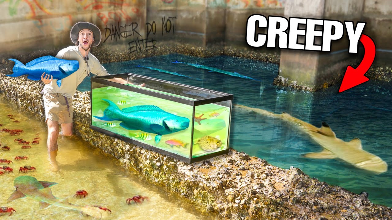 Building a CREEPY TIDE POOL AQUARIUM Filled With TONS Of WILD FISH!