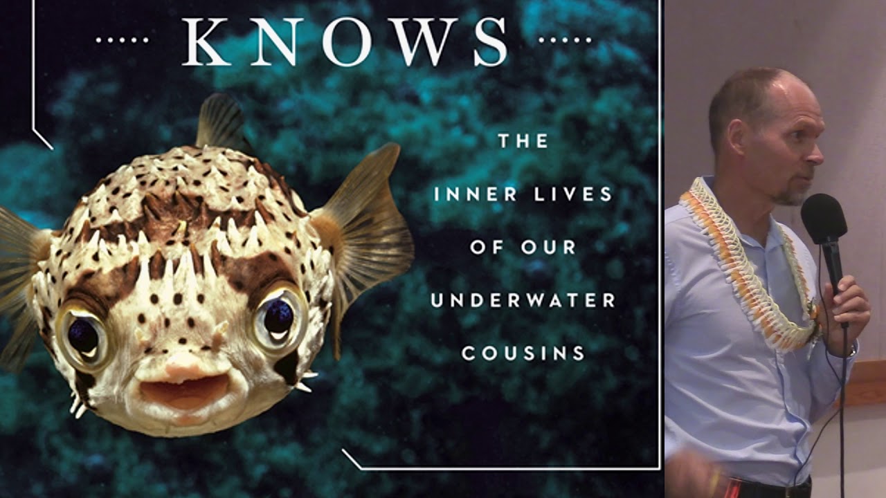 What A Fish Knows