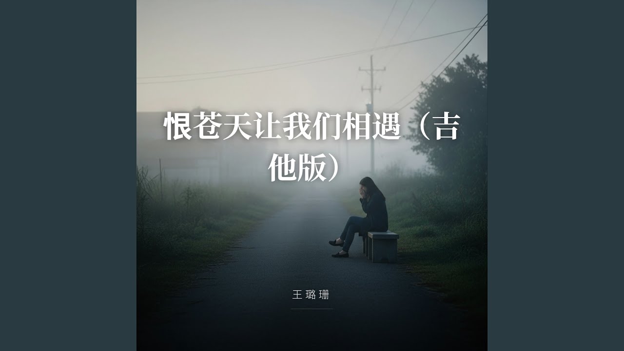 恨苍天让我们相遇（吉他版）