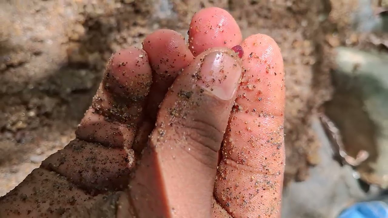 Take a trip to the  Walawe River වළවේ ගඟ දිගේ සංචාරේ