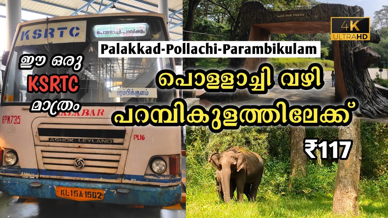 Ksrtc Parambikulam Trip |Palakkad To Parambikulam Tiger Reserve|Via Pollachi #parambikulam #palakkad