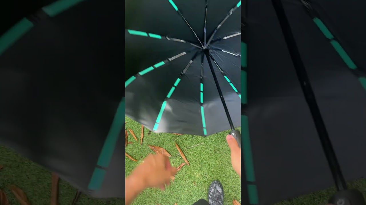 Stay Dry with the Best Umbrella! #automaticumbrella #giftideas