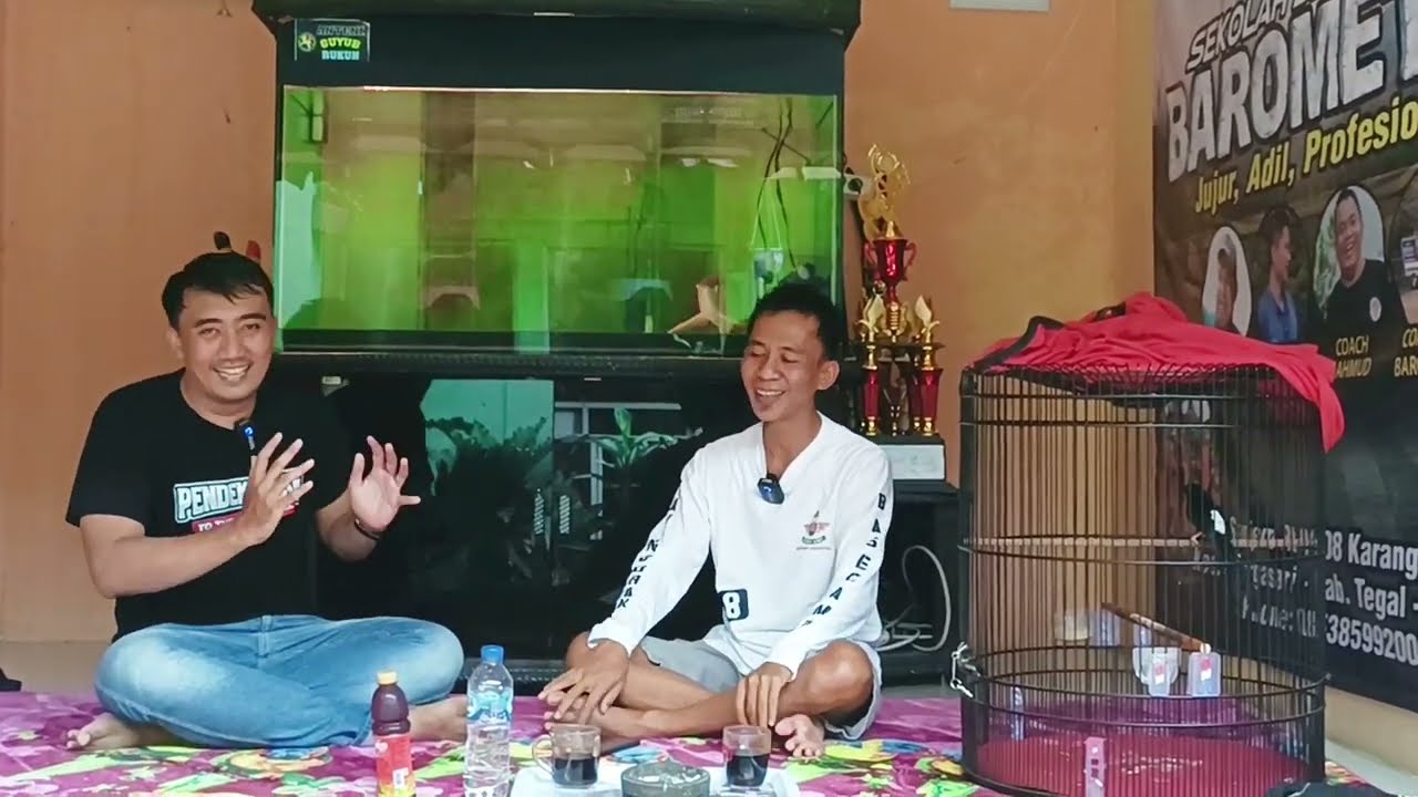 Beli Burung di Raja Ngurak Tegal #rajangurak #muraibatu #pendekarsf