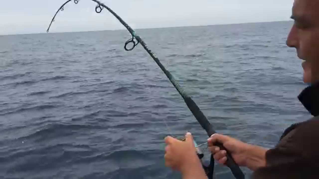 2015 09 05 Pesca de corvina gigante de 40,7 kg