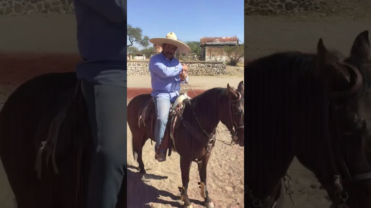 Formas de cerrar la rienda