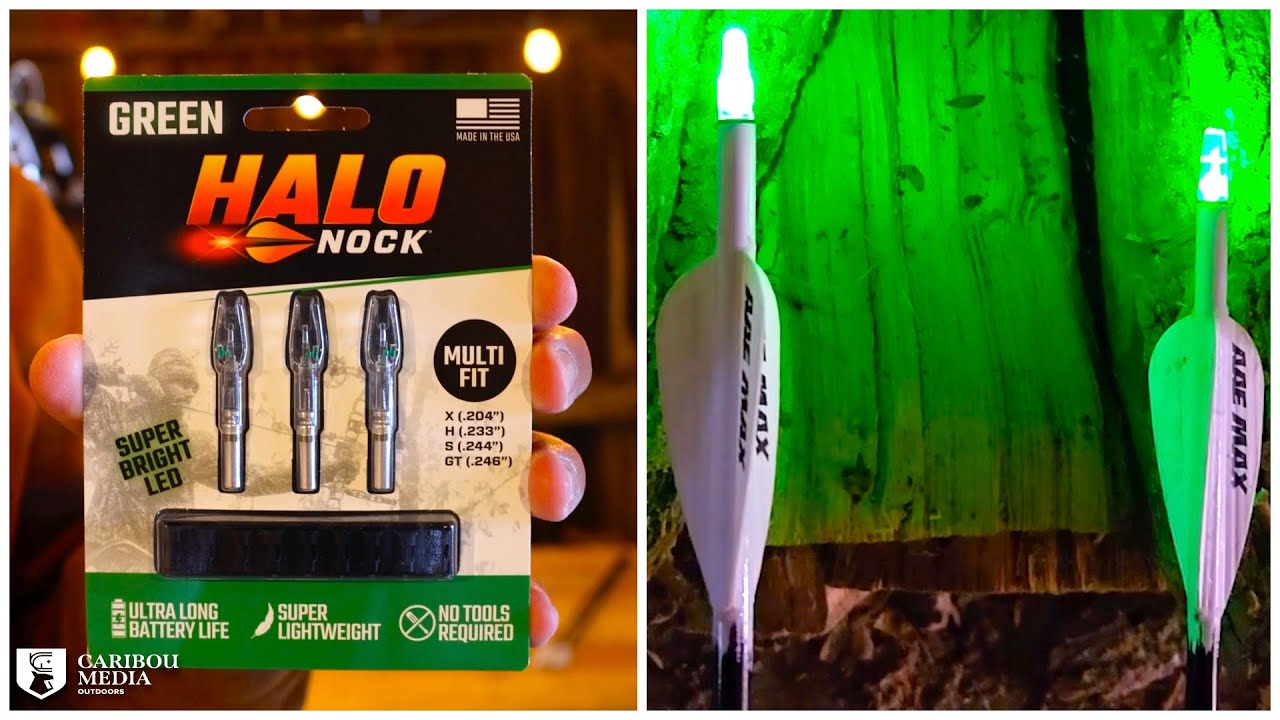 Nockturnal vs Halo Lighted Nocks | Which one will you choose?