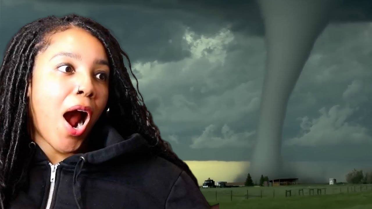 Craziest Nature Videos of the Decade | Reaction