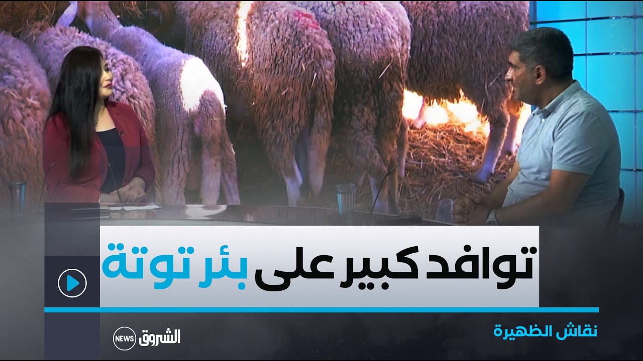 نقاش الظهيرة | في ظل ارتفاع أسعار الأضاحي.. توافد كبير على الشركة الجزائر للحوم الحمراء ببئر توتة