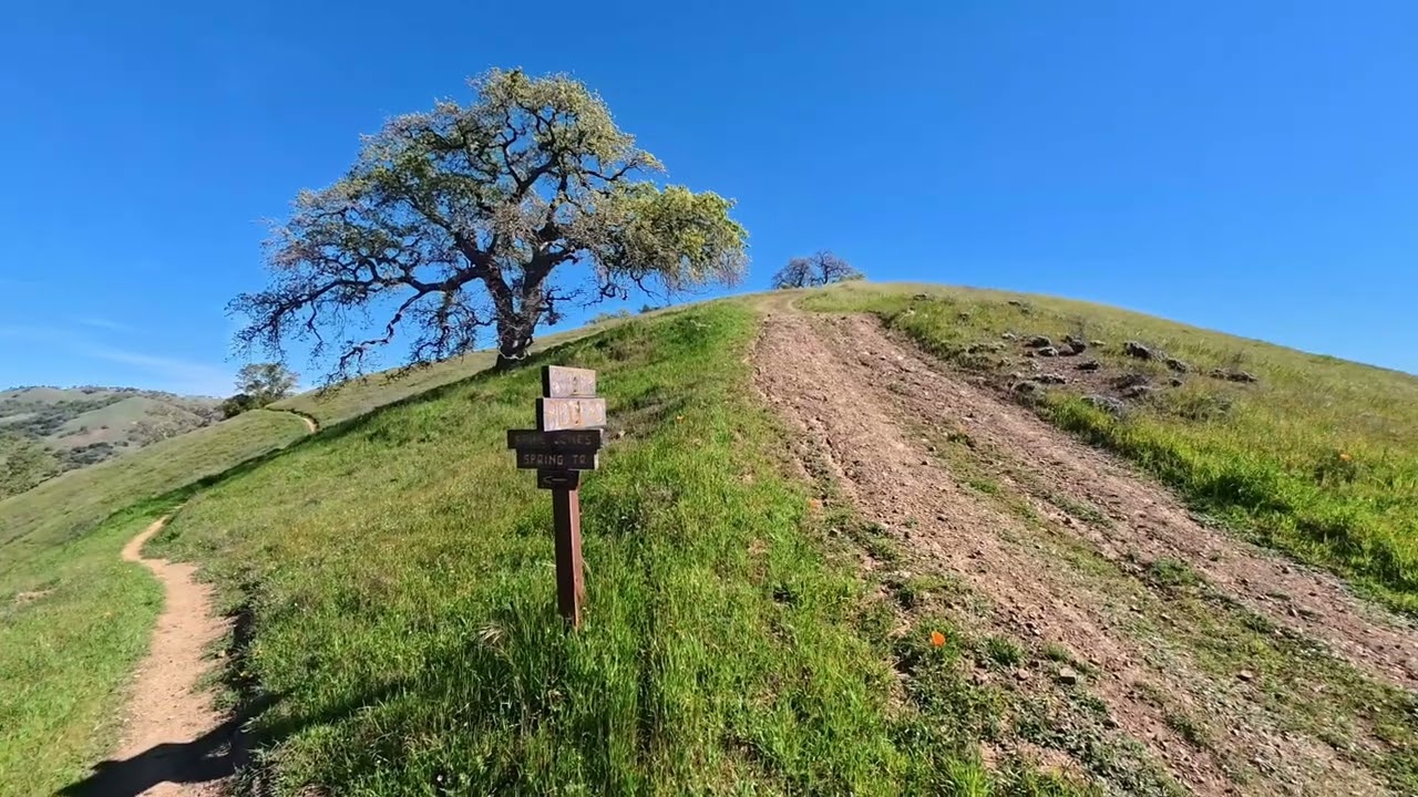 henry coe | epic fury ride | mtb