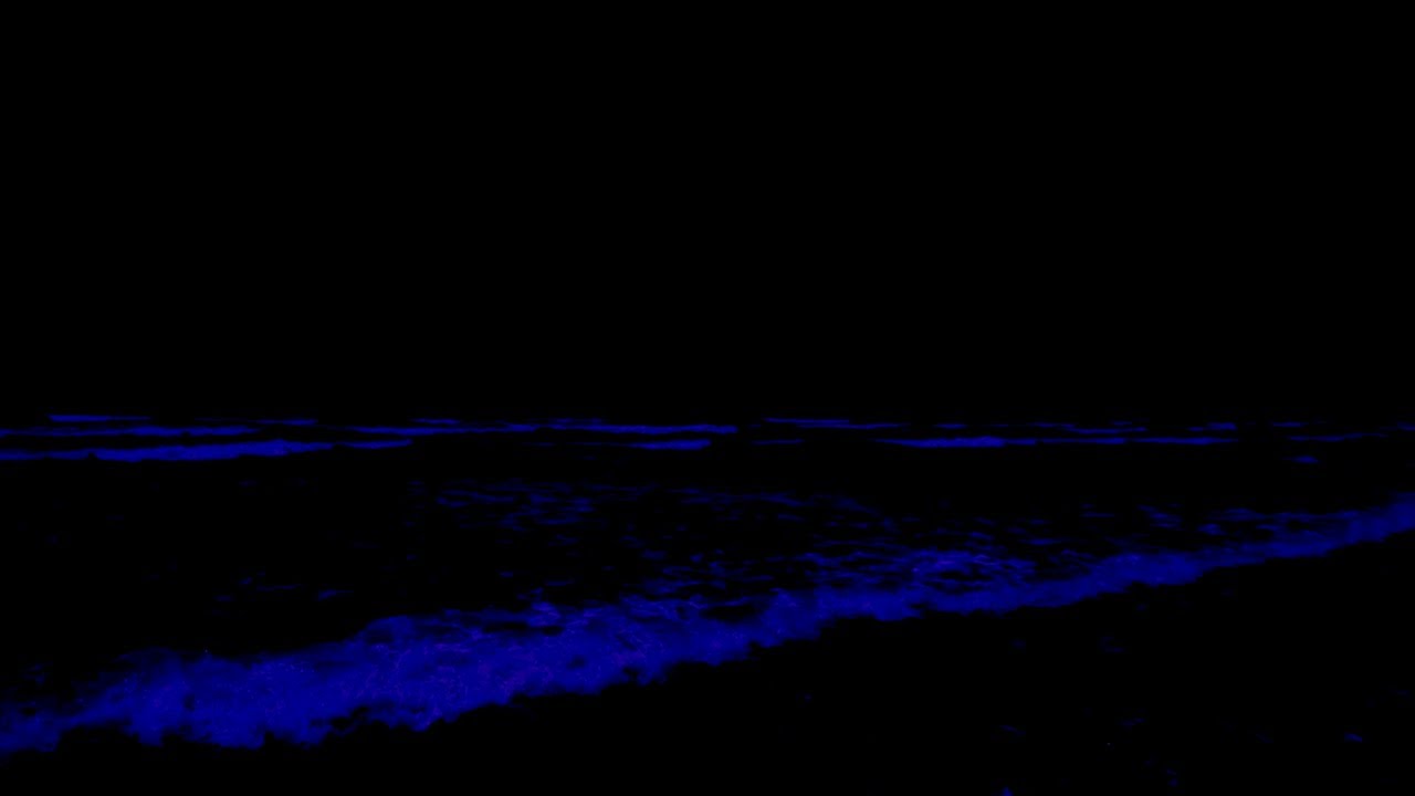 Sleep Instantly Within 3 Minutes NO ADS • Relaxing Ocean Sounds for Anxiety • Body Mind Restoration