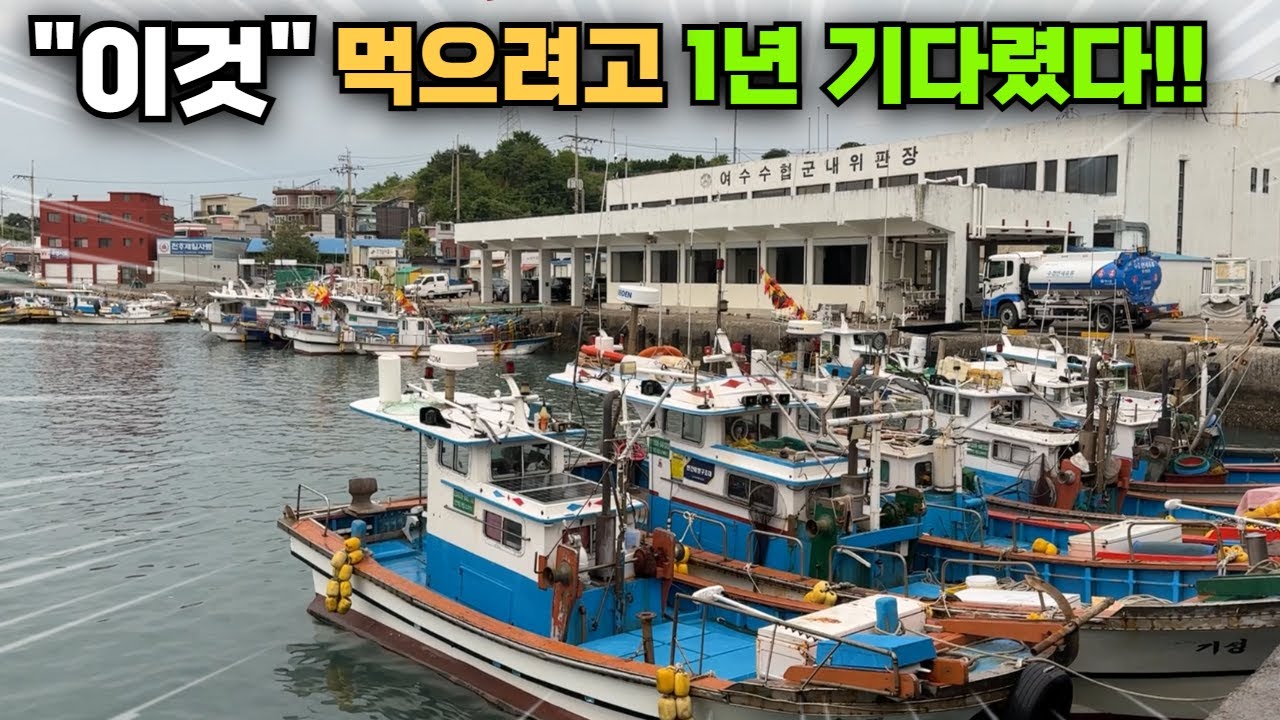 지금 여수는 보양식이 쏟아진다!! 