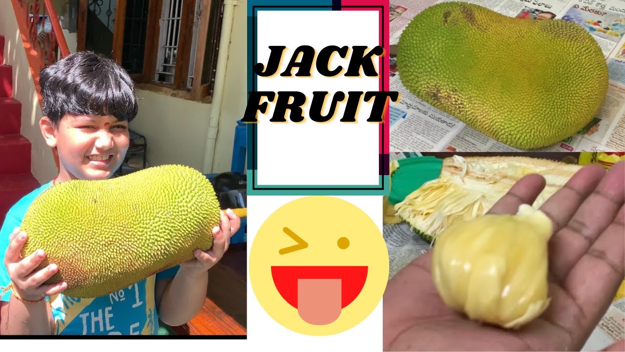 Jackfruit | Fresh Kathal Cutting | Best Kitchen Hacks | Fruit Cutting Skills