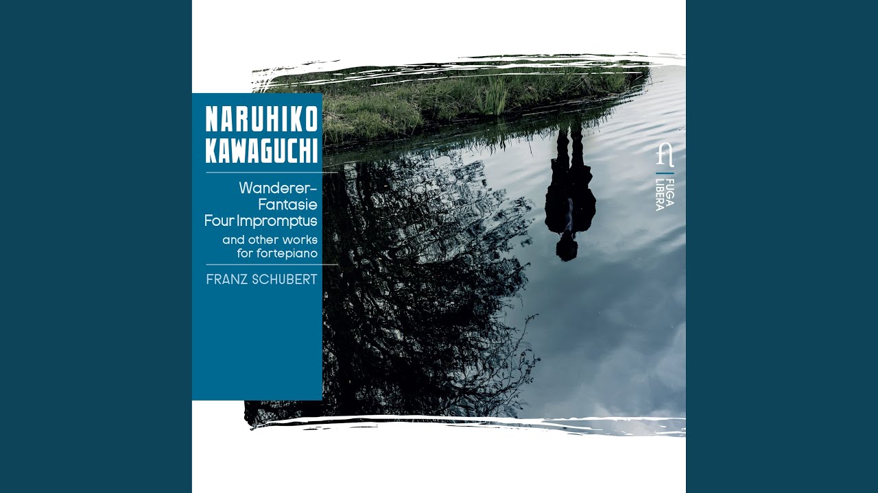Four Impromptus, Op. 90, D. 899: Impromptu No. 2 in E-Flat Major