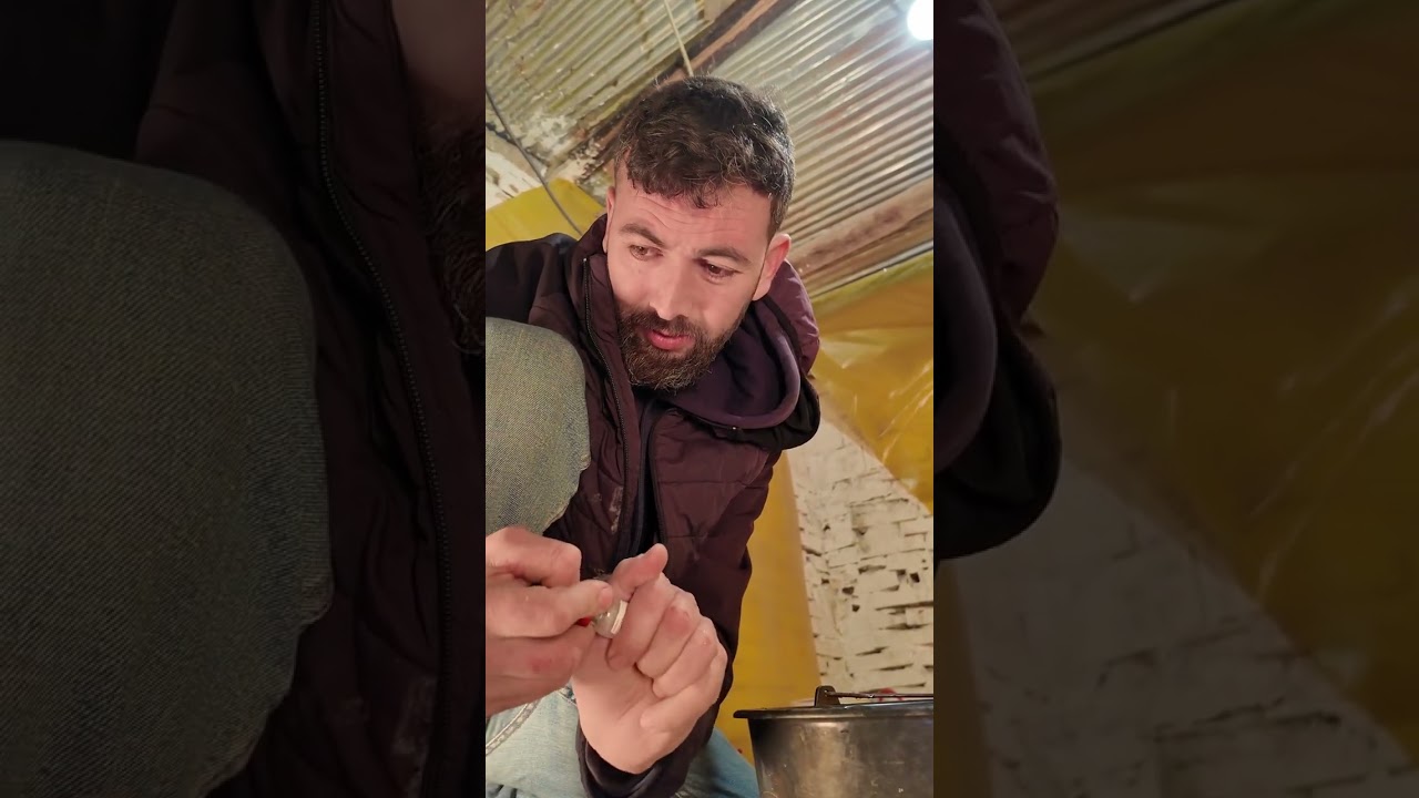 اليوما الفلوس وصل لعمر 10ايام من ضروري ندير لقاح الفيروس  الكومبورو