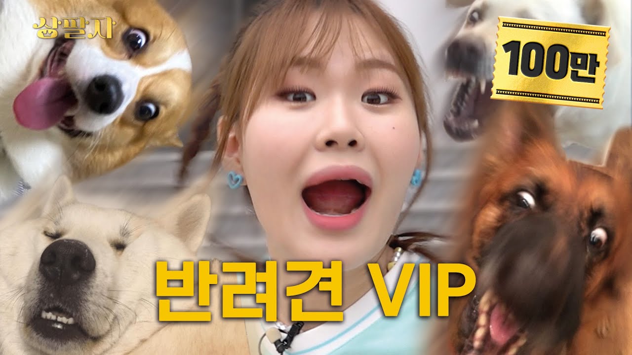 [EN] 댕댕이에게 5천만 원 쓰면 벌어지는 일은? {반려견 VIP} | 상팔자 ep.6
