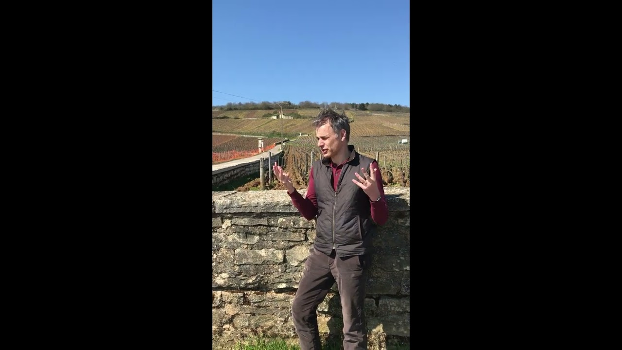 Jean-Nicolas Meo at Romanee-Conti