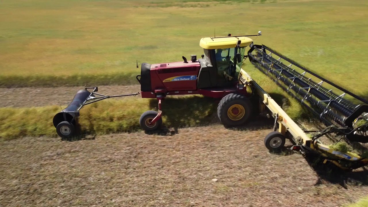 2020 Canola swathing