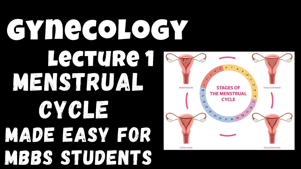 Menstrual Cycle Explained | Ovulation & Luteal Phase Made Easy | Gynecology MBBS Lecture 