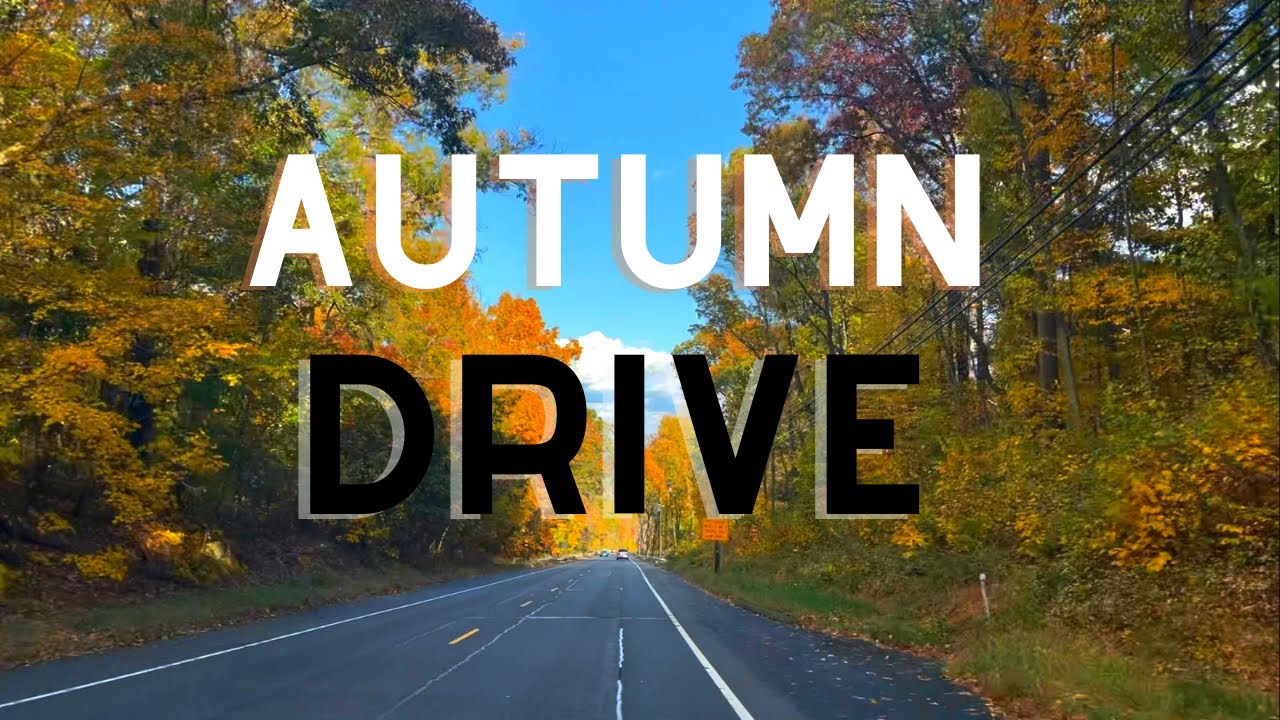 Cozy Autumn Drive 🍁🍂