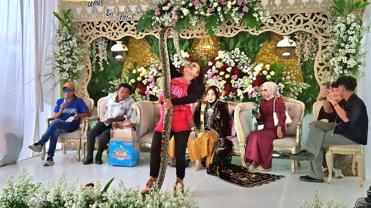 Goyang Ratu ular new pandawa terbaru live kalikondang demak