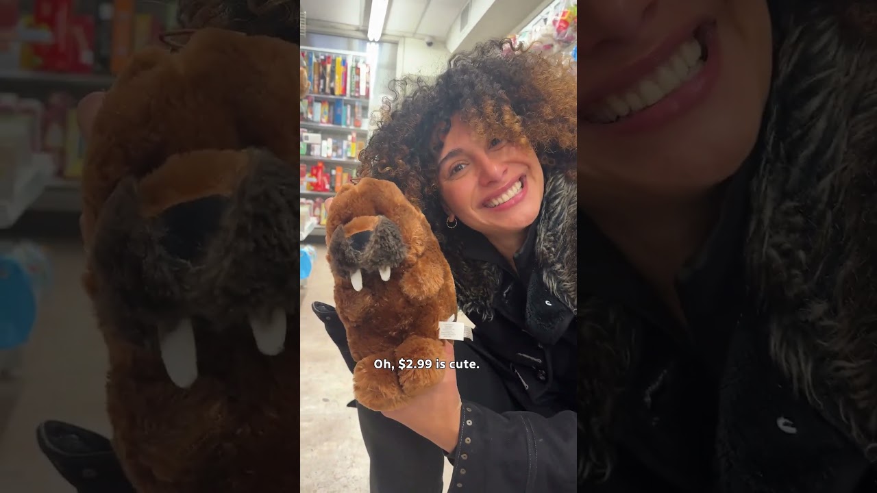 $5 Plushie Shopping Challenge 🧸#Challenge #Plushies #Cute #Budget #StreetCents