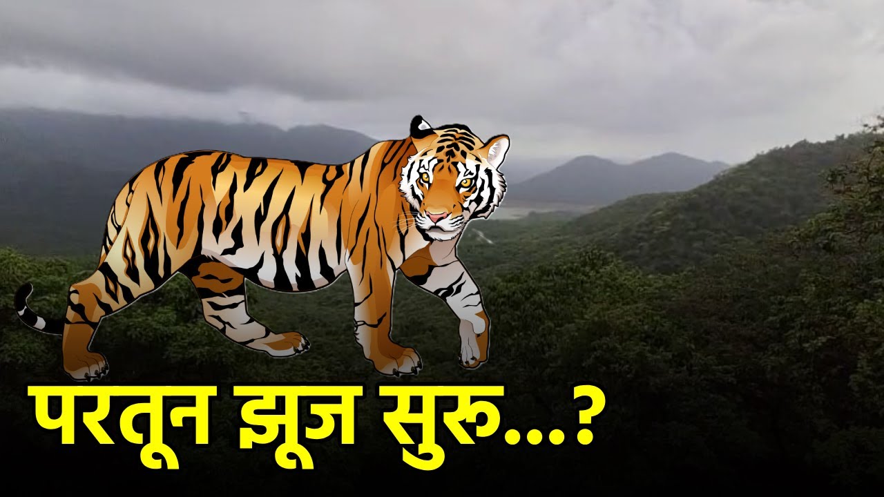Two Phase Tiger Reserve Plan Puts Goa at Center of Conservation Debate||GOA365 TV