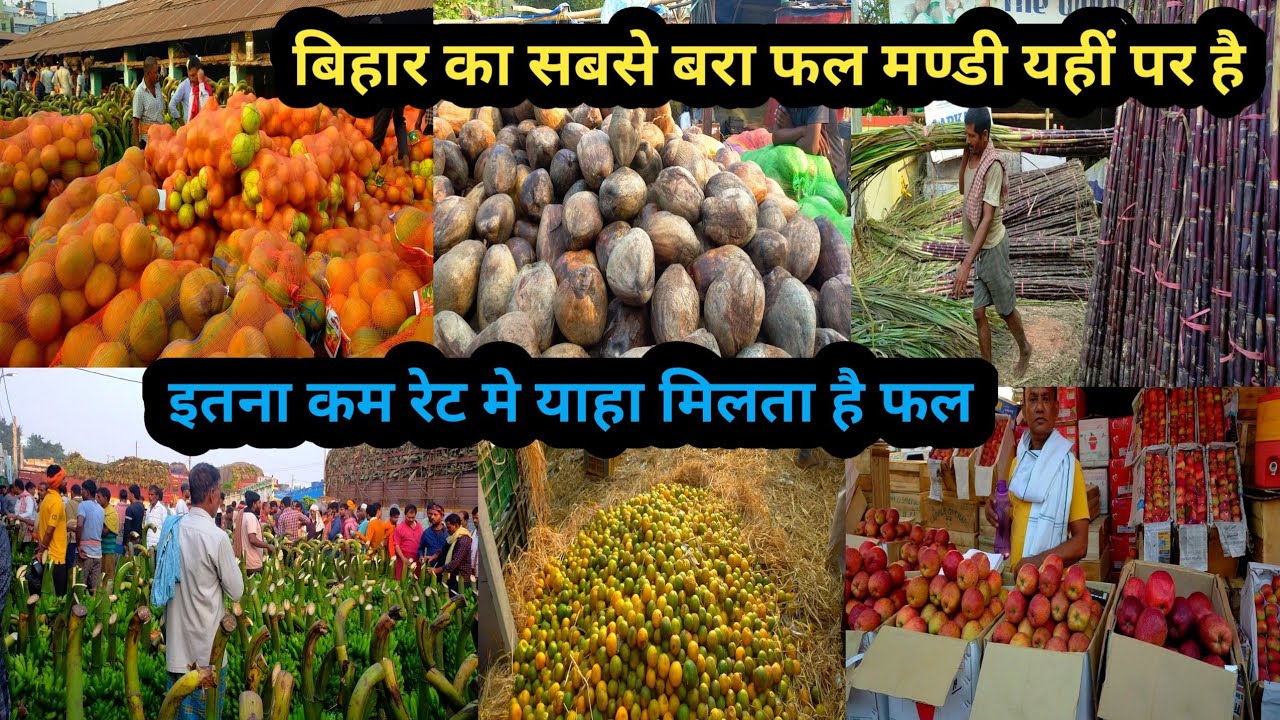 बिहार का सबसे बरा फल मण्डी यहीं पर है|kela mandi market in patna|kela mandi patna|fruits mandi patna