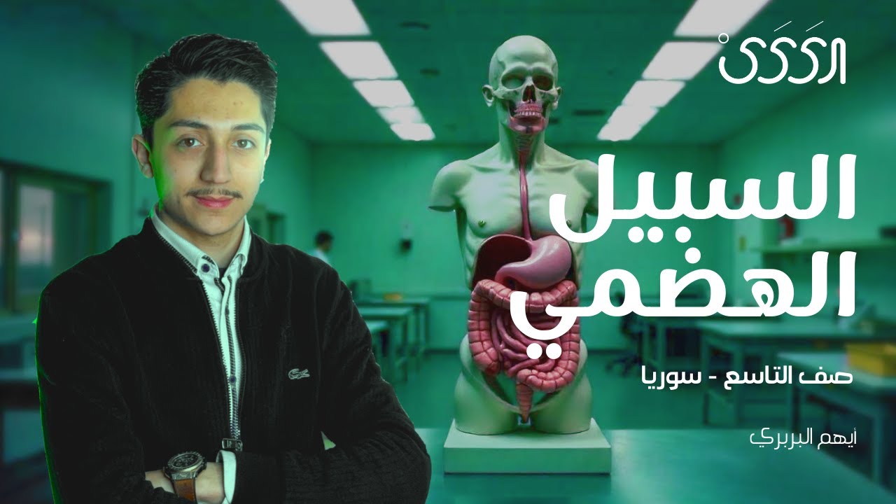 الجهاز الهضمي- السبيل الهضمي- علوم التاسع - دورة 2025