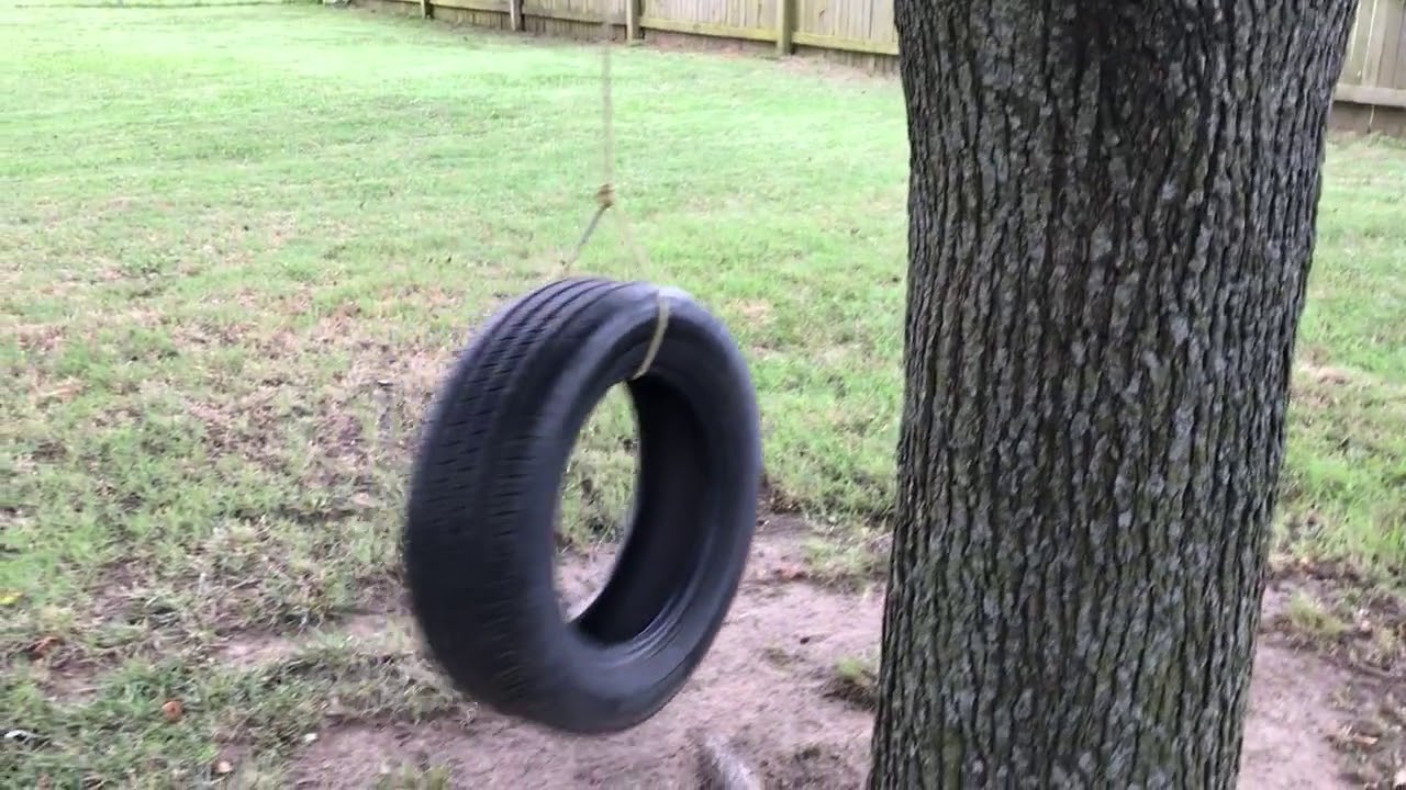 Tire Swing in the Tree