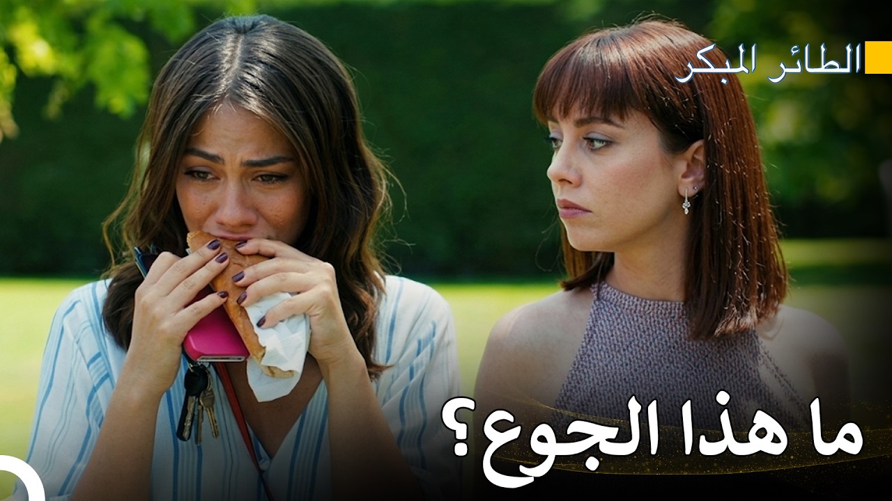 لم نستطع إطعام هذه الفتاة - سلسل الطائر المبكر