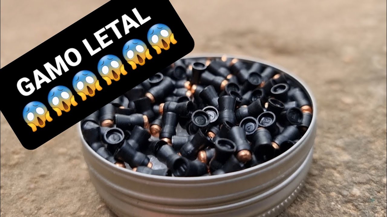 OLHA S&Oacute; O QUE A PR900WG2 4.5 + O CHUMBO GAMO LETHAL FEZ GALERA😱😱😱😱😱😱😱😱😱😱😱😱