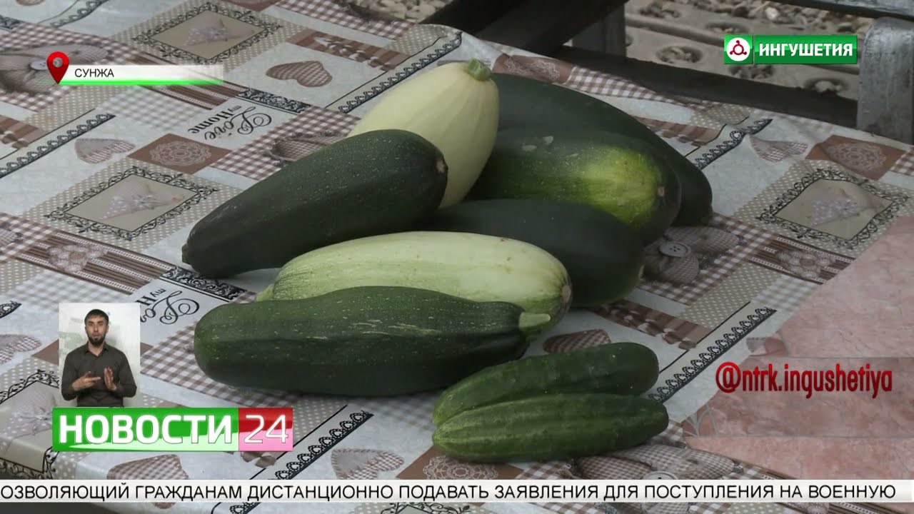 Любовь Маципурина - участница конкурса 