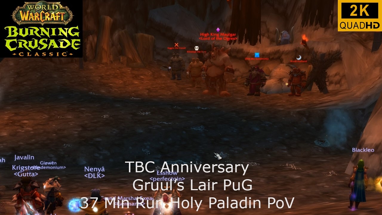 WoW TBC Anniversary | Gruul's Lair PuG 37 Min Run | Holy Paladin PoV | 2K
