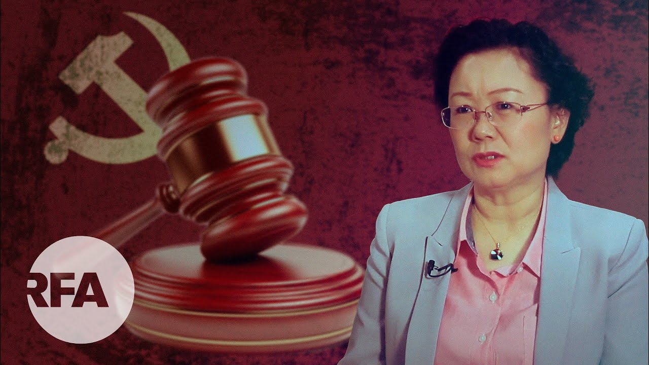 王瑞琴批逆龙鳞  中国民企时代终结？