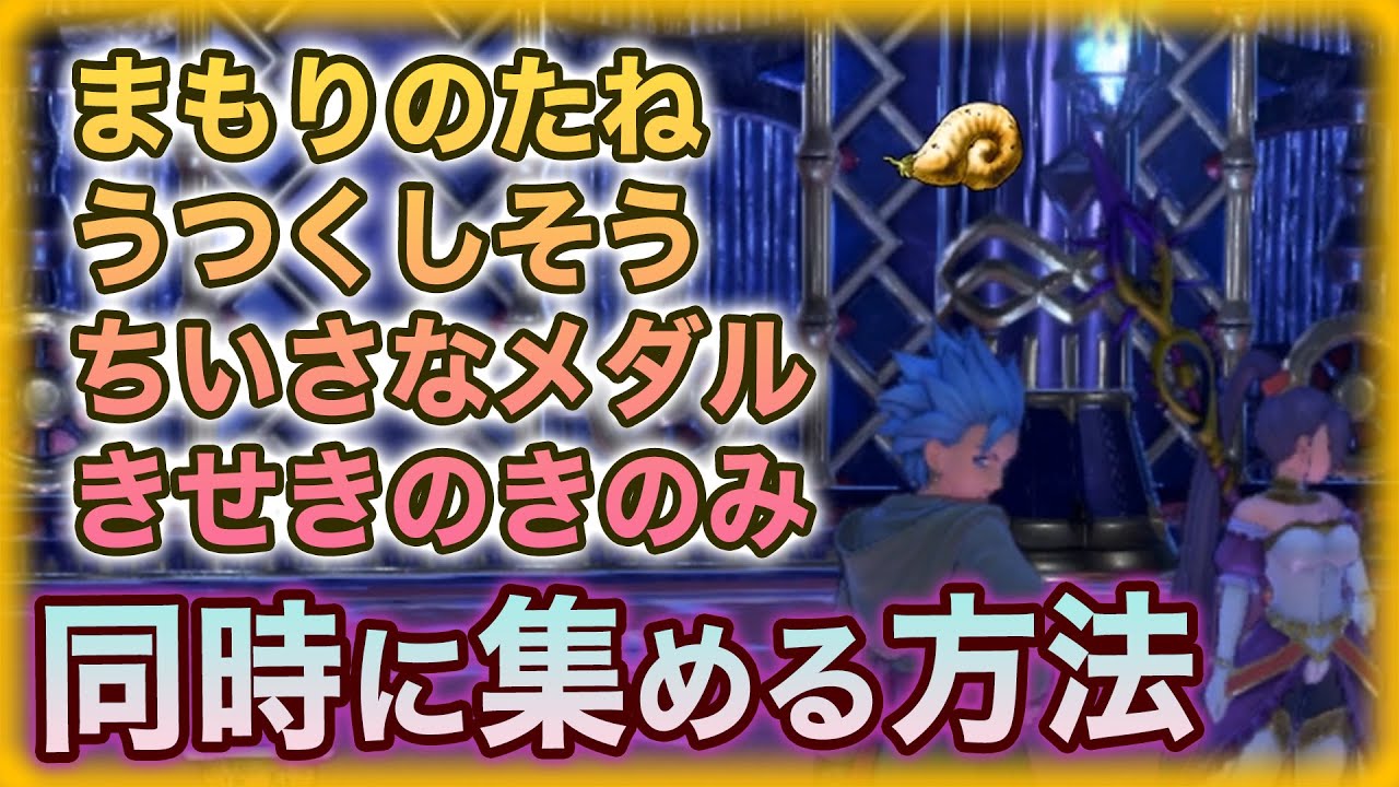 まもりのたね、うつくしそう、きせきのきのみ、ちいさなメダルが1つの場所で手に入れる方法 ドラクエ11S 攻略
