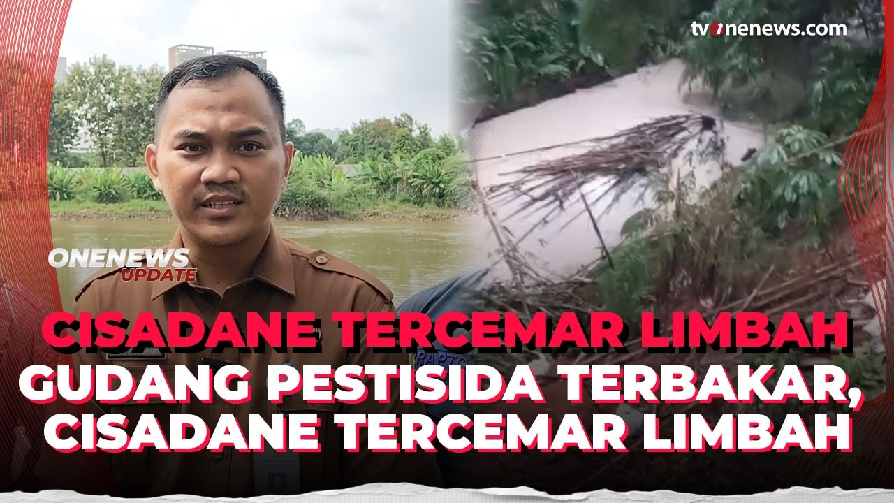 Sungai Cisadane Tercemar, Warga Diimbau Tak Konsumsi Ikan yang Mati | OneNews Update