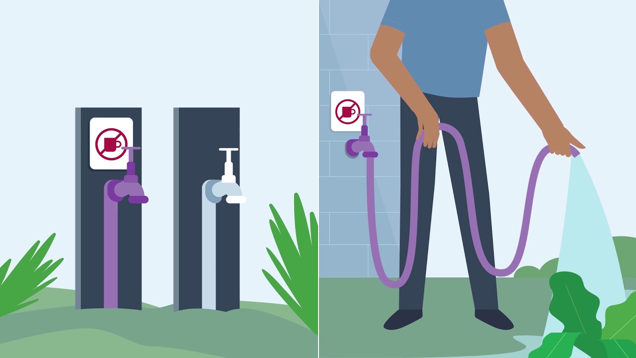 Class A Recycled water - Purple tap test