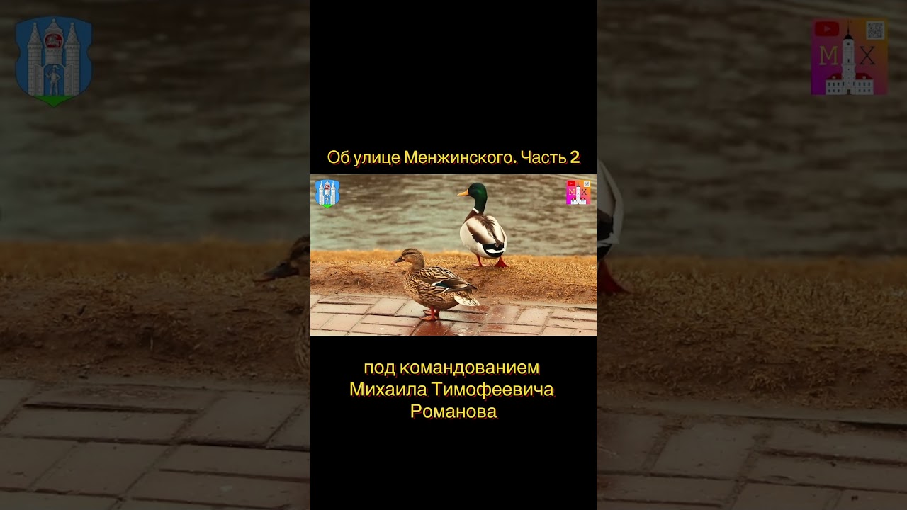 #belarus #история #беларусь #mogilev #могилевскиехроники #менжинка #могилев #улицыгорода #хроники