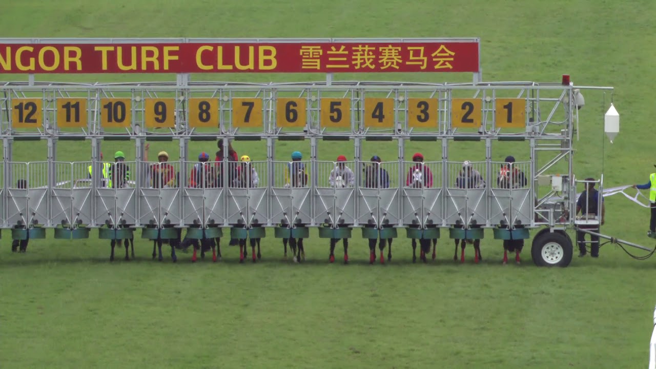 25 FEBRUARY 2018 RACE 5