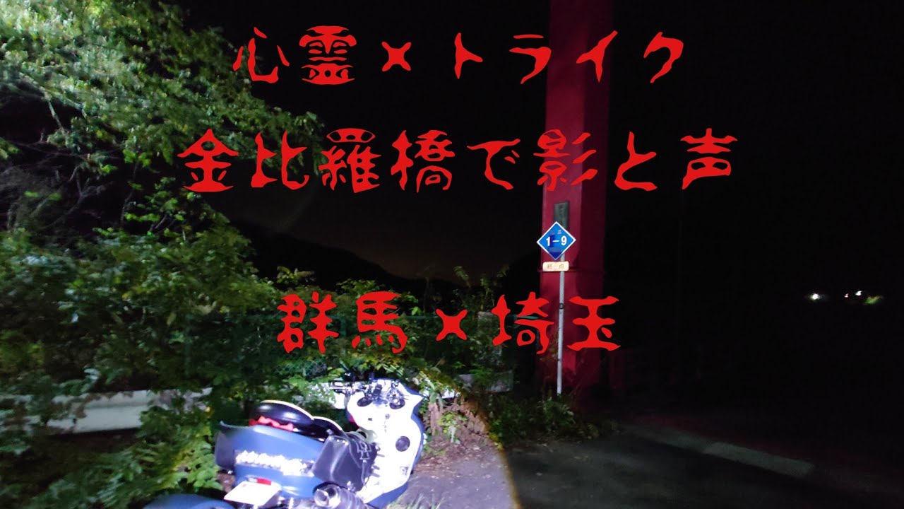 【群馬心霊巡回】自〇多発地帯…金比羅橋に突撃！最恐心霊スポット…映り込む謎の影 ！