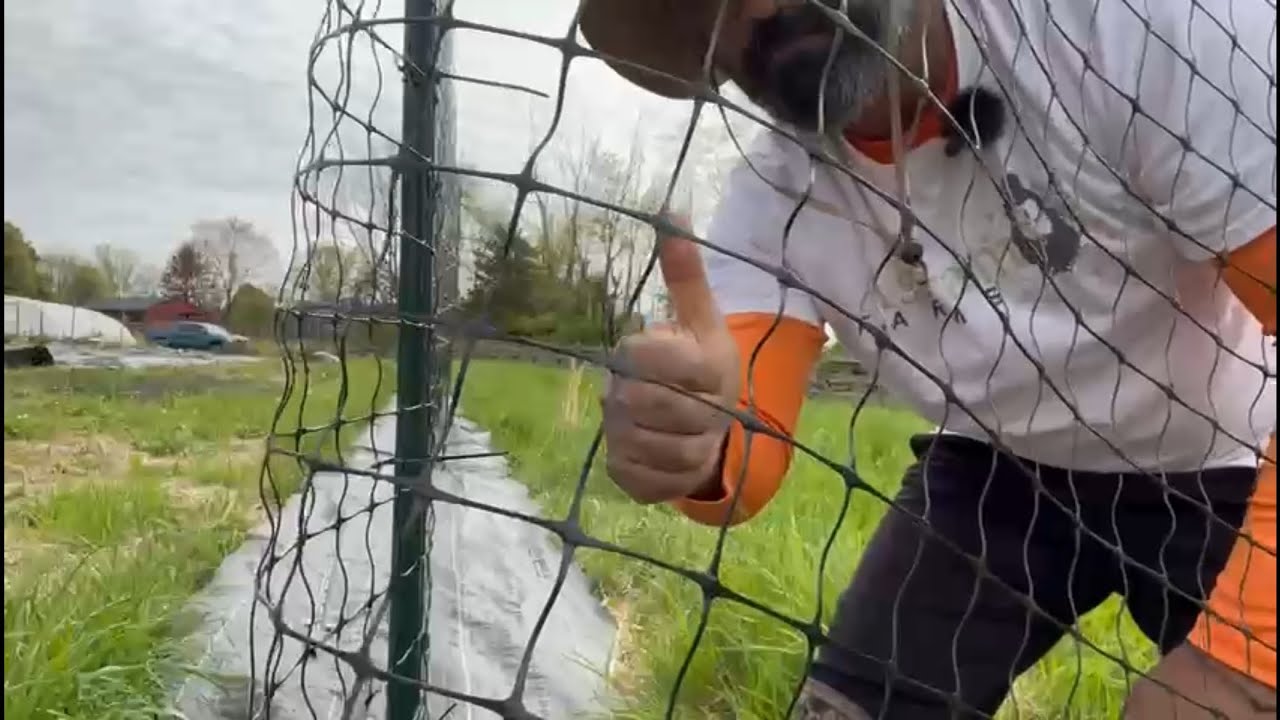 Building a Deer Fence