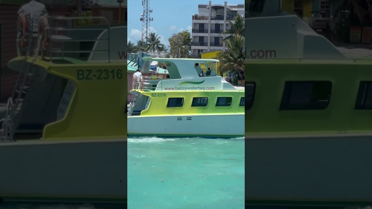 Fun In Belize #music #dj #dance #youtubeshorts #youtube #funnyshorts #funnyvideos #funny