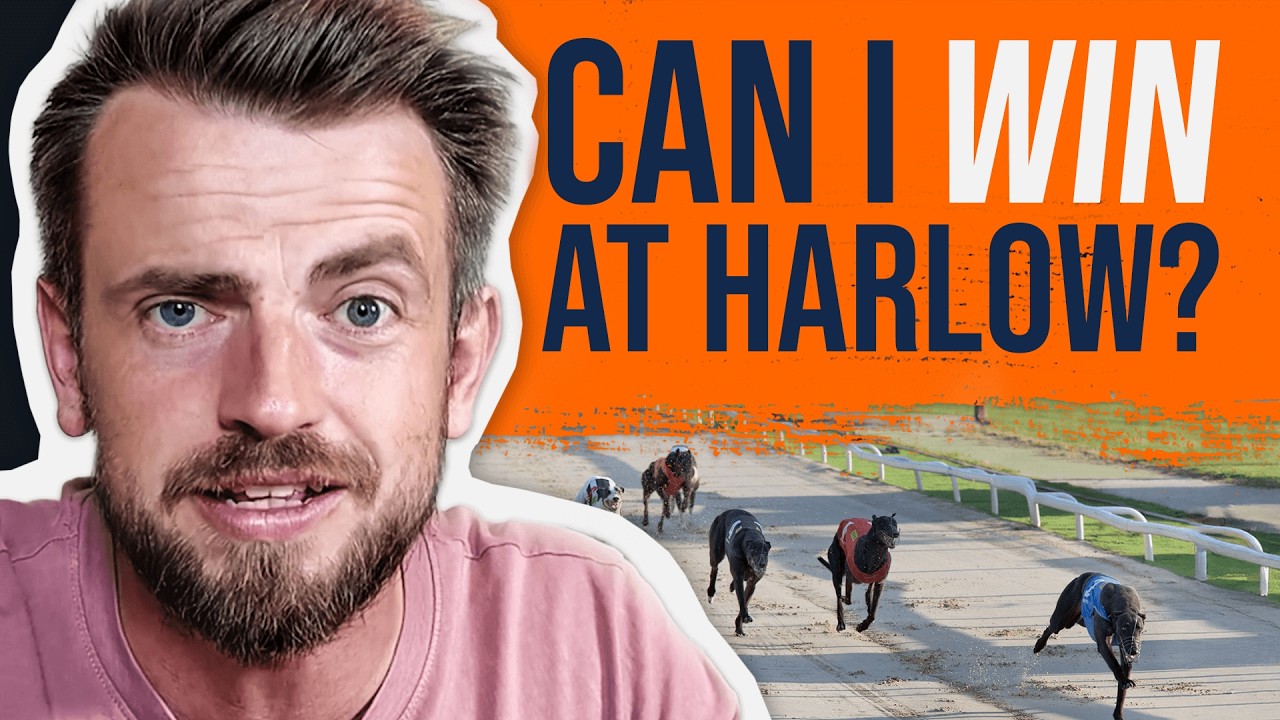 Betting on Greyhound Sprint Races. FAST Money or Just Plain Stupid? | Professional Greyhound Betting