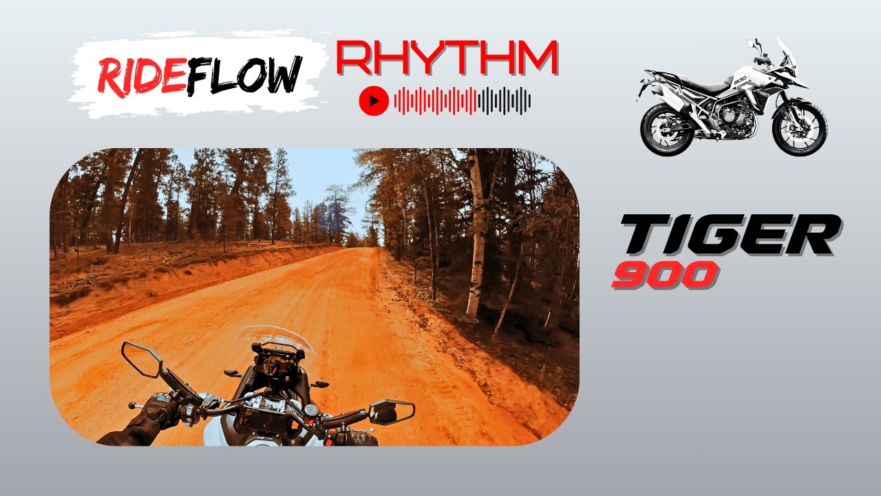 Cedar Mountain | Triumph Tiger 900 // [RideFlow Rhythm Music 4K POV Throwback Series]
