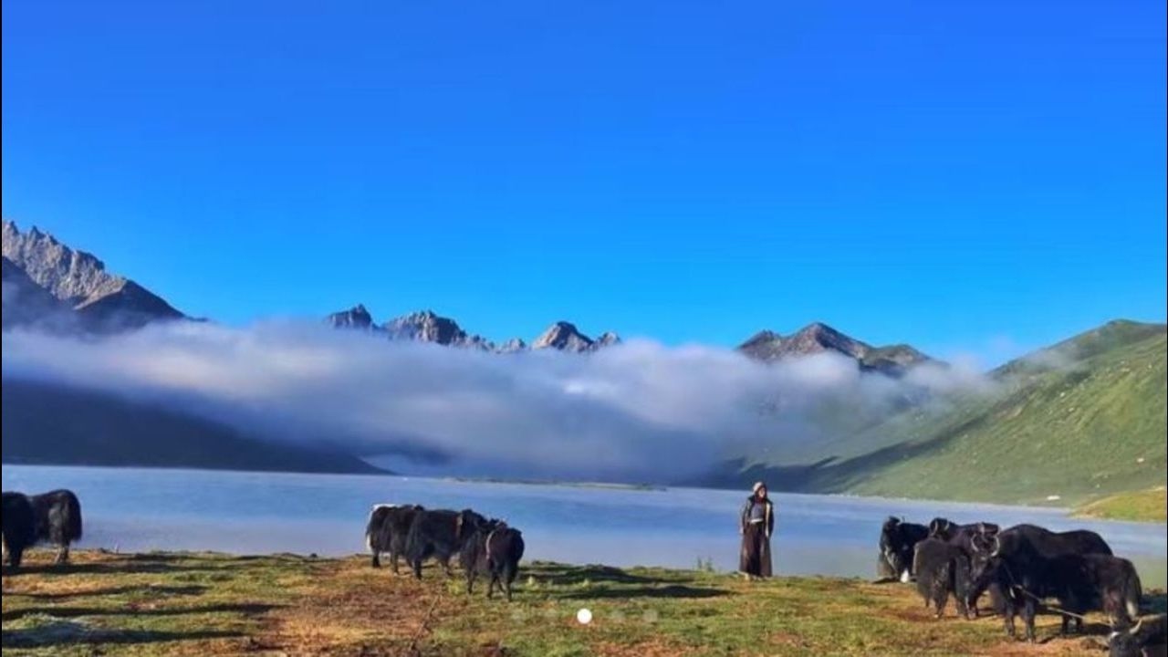 Gesar Epic by Dubey 《格薩爾史詩之大食財富城》德白 སྟག་གཟིག་ནོ་རྫོང་། A