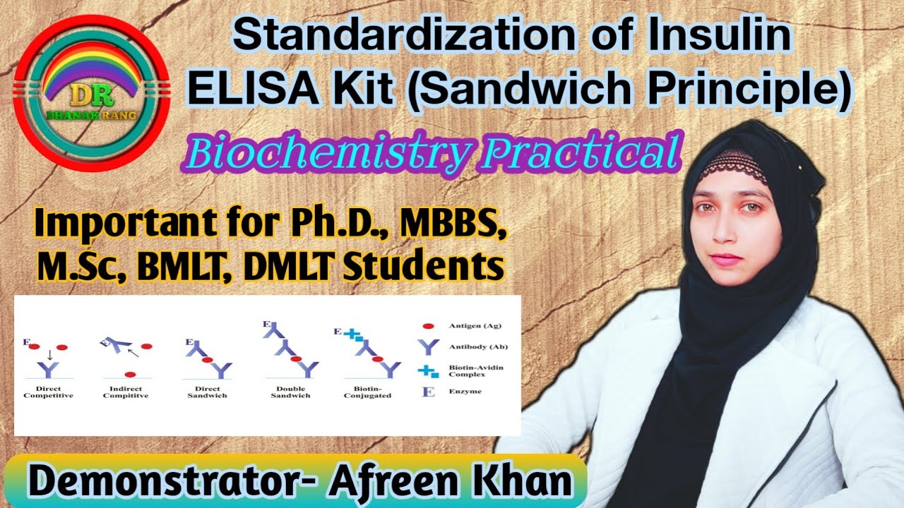Standardization of Insulin ELISA Kit Sandwich Principle | Biochemistry Practical | DHANAK RANG