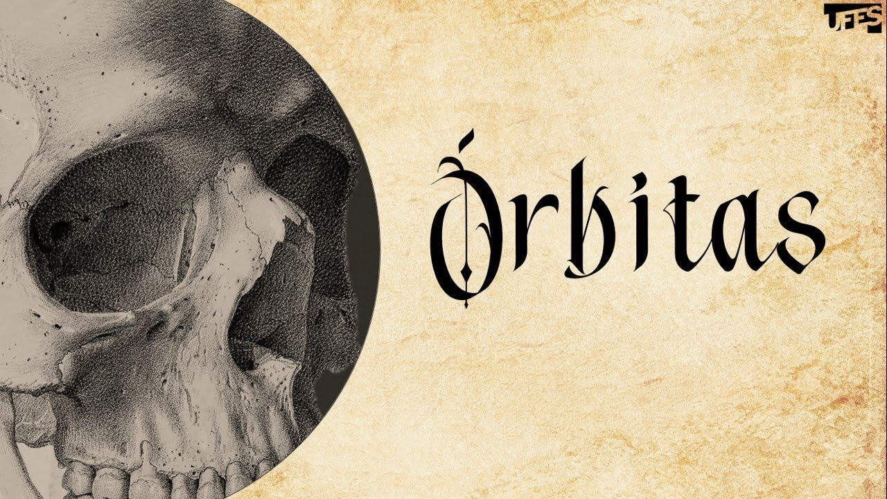 &Oacute;rbitas (Orbit) | Prof. Eduardo Beber - Anatomia/UFES