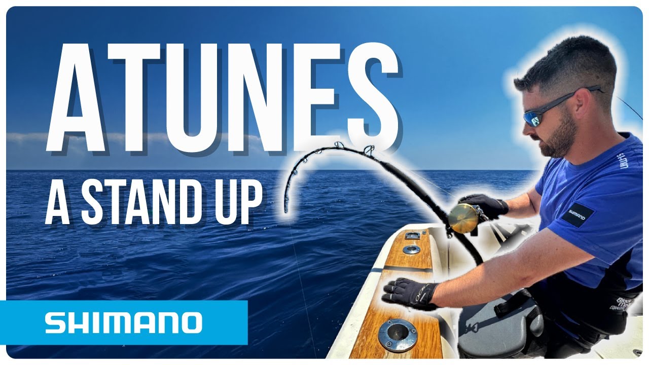 ATUNES GIGANTES a STAND UP / At&uacute;n de m&aacute;s de 200kg con equipo ligero Shimano